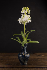 Small marble vase with bunch of white flowers on black background