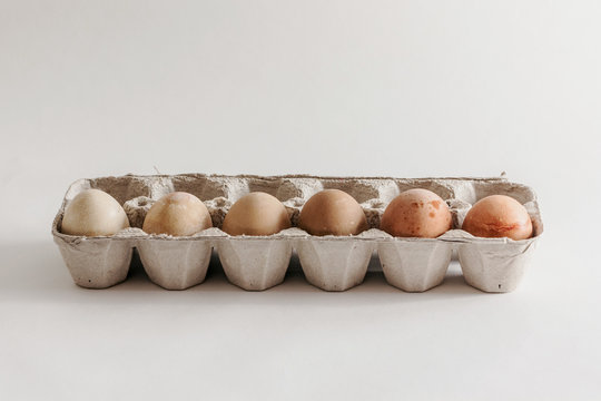 Colored eggs in cartons