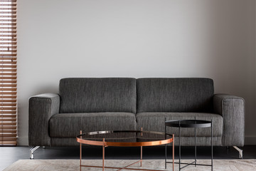 Gray sofa and metal coffee table