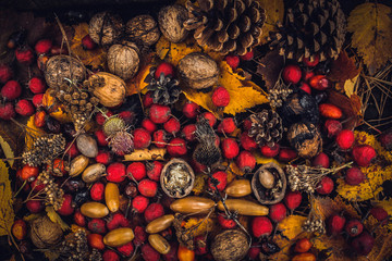 Abstract autumn background