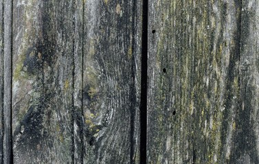Naklejka premium texture of old wooden board. solid wood table. Shabby surface