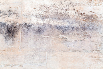 Fototapeta premium Grunge concrete wall texture background