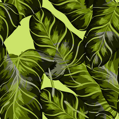Exotic leaves on a green background. Tropical pattern with banana leaves.