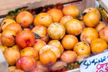 Closeup of fresh ripe orange and yellow plums in farmer's market in Italy during summer wooden crate box display color and sign