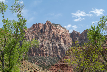 Landscape of Zion National Park