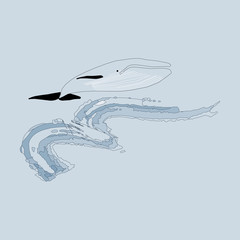whale with black contour on blue background 