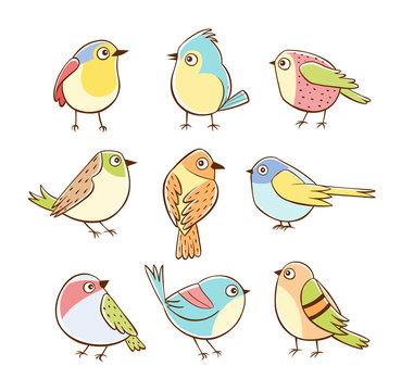 Collection of cute little birds in different poses. Colorful birds isolated on white background. Hand drawn vector illustration.