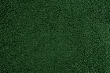 Dark green leather texture. 