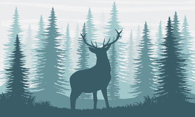 Silhouette. A deer with large branching horns in the fir forest.