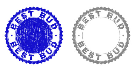 Grunge BEST BUD stamp seals isolated on a white background. Rosette seals with distress texture in blue and grey colors. Vector rubber watermark of BEST BUD text inside round rosette.