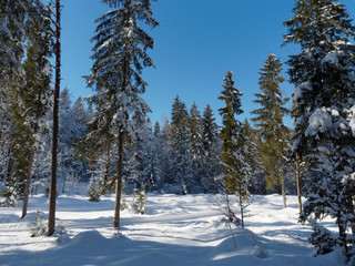 Oberbayern Naturschutzgebiet. Kreuth - Scharling - Point. Langlaufloipe in der Heide an der Weissach entlang.