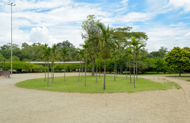 A shot of Ibirapuera park in Sao Paulo, Brazil