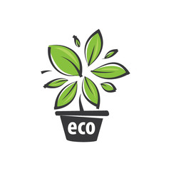 eco green logos vector, pot