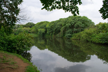 Sao Paulo's Ibirapuera park. The city biggest park, a green lung in the hart of the city
