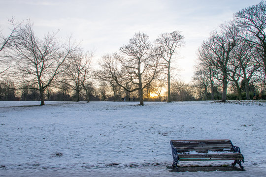 Winter landscape of Sefton Park on sunset © Victor