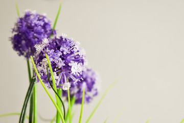 Obraz premium Artificial indoor purple flowers