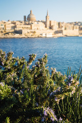 Blurred view of Valletta as seen from Tigne point in Sliema, late afternoon warm light.