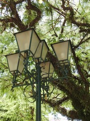 Old style lamp post in front of a leafy tree. The scene is illuminated by the summer sun.