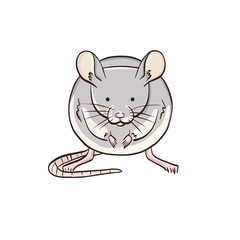 Illustration of mouse on white background. Isolated animal in color.