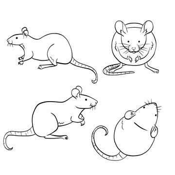 Set of rats and mouses. Isolated mouses sketches.