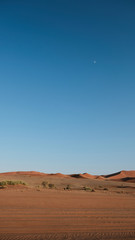 Sossusvlei Landschaft, Dünen mit Mond hochkant