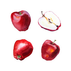 Watercolor painting of red apples
