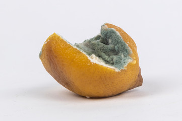Half Moldy Lemon