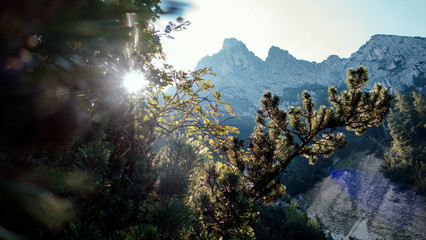 Im sch&ouml;nen Karwendel