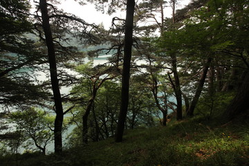 Obraz premium Lac Pavin - Besse-et-Saint-Anastaise - Monts Dore
