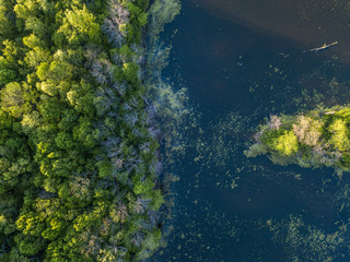 Celery Bog Nature Area. Drone shot of the lake. West Lafayette IN