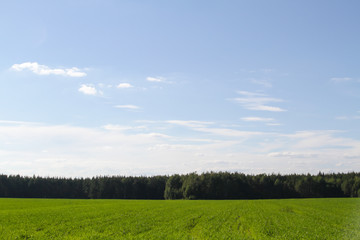 Green field