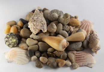 shell and stone