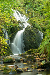 waterfall in the Crawfordsburn forest