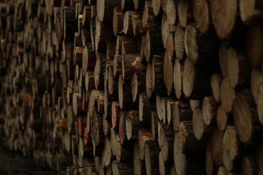 logs
