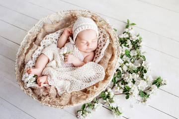 Sweet newborn baby sleeps in a basket. Beautiful newborn boy with flowers