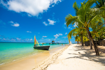 Trou aux biches, Mauritius. Tropical exotic beach with palms trees and clear blue water.