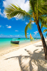 Trou aux biches, Mauritius. Tropical exotic beach with palms trees and clear blue water.