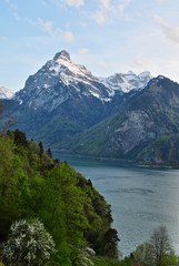 Fototapeta na wymiar Der Berg Uri Rotstock und Berg Schlieren über dem Vierwaldstättersee - Urnersee mit Schnee auf dem Berggipfel, Schweizer Berge