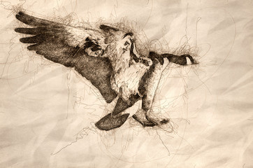 Sketch of a Canada Goose Coming in for a Landing on the Cold Winter River