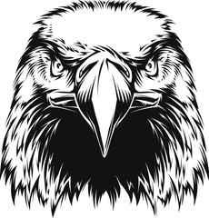 Vector Eagle Head