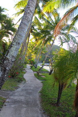 Obraz premium Whitsunday Islands - Australia