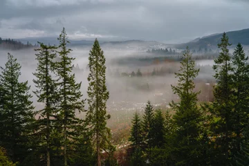 Papier Peint photo Lavable Forêt dans le brouillard incoming mist to benmore valley