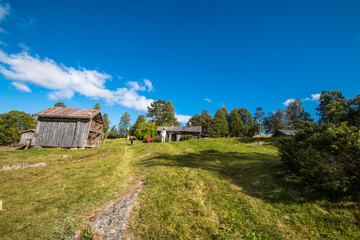Obraz premium Beautiful summer day with deep blue sky somewhere in Sweden