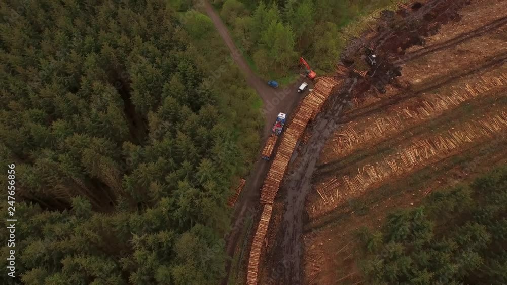Poster forestry and logging operations taking place in the highlands of scotland using large industrial mac