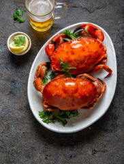 Whole cooked  crabs on white plate with lemon and beer. Gray concrete background. Top view