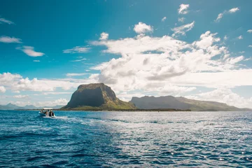 Photo sur Plexiglas Le Morne, Maurice Swimming with dolphins in Le Morne Mauritius