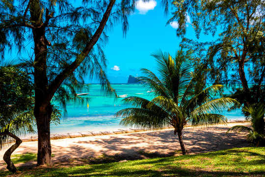 BAIN BOEUF Mauriutius. Beautiful beach in northern Mauritius. Coin de Mire, white sand beach among Palm trees