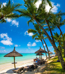 Trou aux biches, Mauritius. Tropical exotic beach with palms trees and clear blue water.