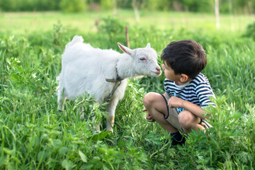 A little boy wearing  stripped vest squats and  talks to a white goat on a lawn on a farm They look...