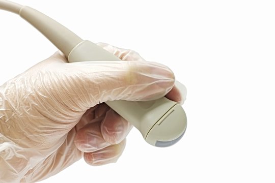 Microconvex ultrasound probe used in neonatology, pediatric medicine and veterinary applications, held in left hand in semitransparent glove, white background